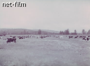 Footage Evacuation of industry to the east of the country. (1941)