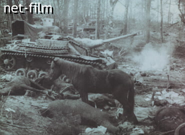 Footage Escorting German prisoners of war. (1944)