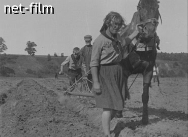 Фильм Киноправда №20. (1925)