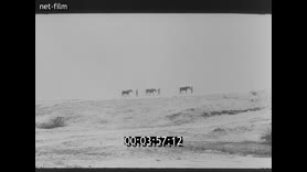 Footage frame