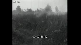 Footage frame