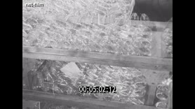 Footage frame