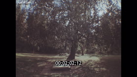 Footage frame