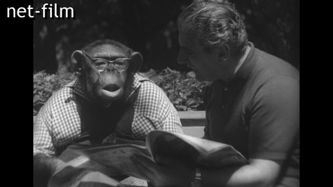 Фильм Опасные партнёры. (1966)