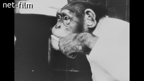 Киножурнал Иностранная хроника №17-1963 (1963)