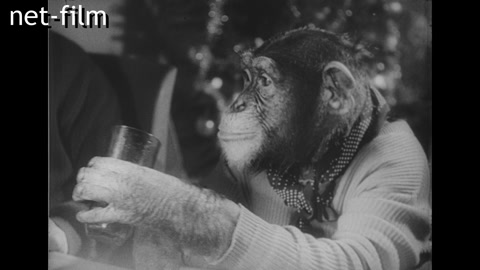 Киножурнал Иностранная хроника №5-1962 (1962)