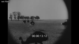 Footage frame