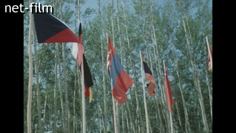 Newsreel Around the USSR №172-1980 (1980)