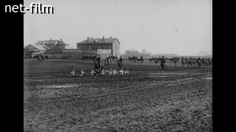 Footage Parforce hunting (cavalry dog ​​hunting). (1908-1909)