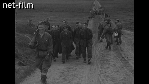 Кинохроника Северо-западнее города Витебска. (1944.06)