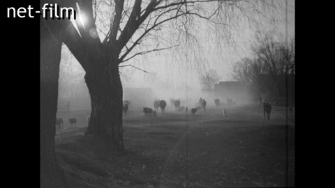 Кинохроника Союзкиножурнал № 45 (фрагмент). (1940)