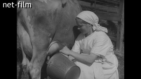 Кинохроника Союзкиножурнал № 51 (фрагмент). (1939)