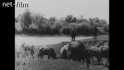 Кинохроника Союзкиножурнал № 36 (фрагменты). (1938)