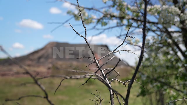 Иркутская область, лето, день, панорама на угольный карьер