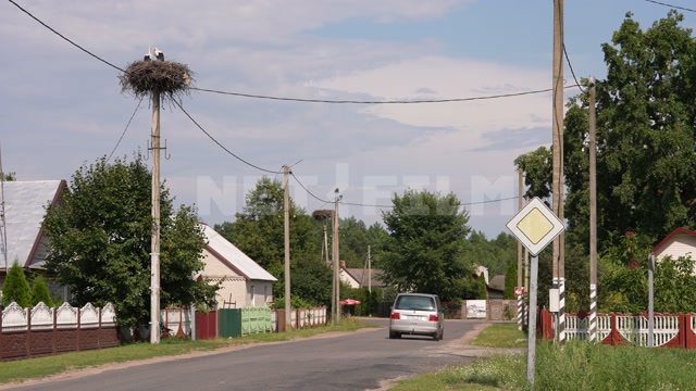 Belarus, village, summer, day, paved road, nest on a pole, two storks in the frame