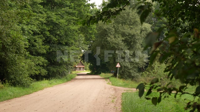 Belarus, village, summer, day, country road