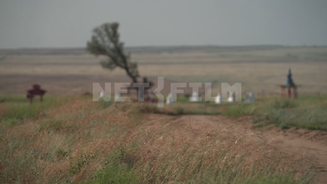 Kalmykia, steppe, natural monument "Lonely Poplar with a Cascade of Springs"
