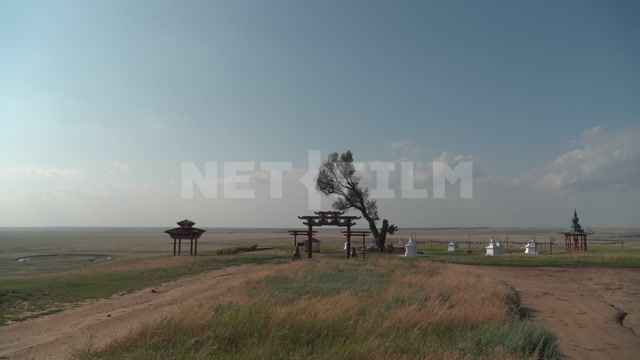 Kalmykia, steppe, wind, natural monument "Lonely Poplar with a Cascade of Springs"
