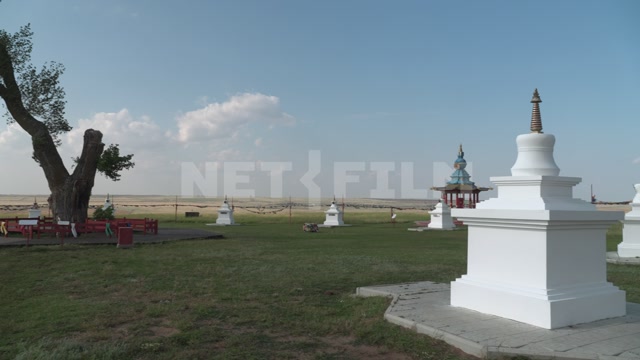 Kalmykia, steppe, natural monument "Lonely Poplar with a Cascade of Springs"