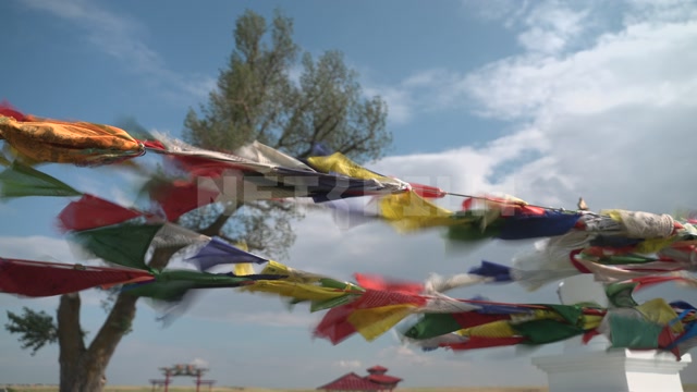 Kalmykia, steppe, natural monument "Lonely Poplar with Cascade of Springs." Colorful