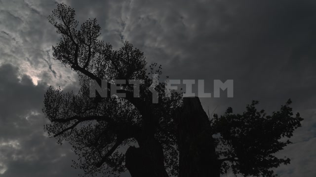 Kalmykia, steppe, natural monument "Lonely Poplar with a Cascade of Springs"