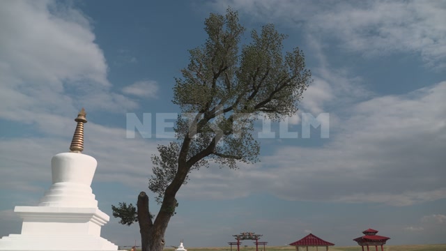 Kalmykia, steppe, natural monument "Lonely Poplar with a Cascade of Springs"
