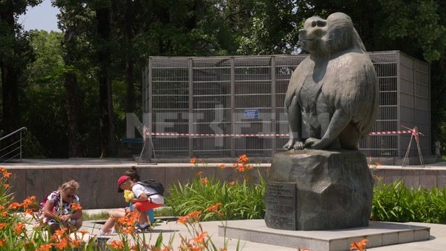 Сухумский обезьяний питомник, лето, день. Парк, скульптура обезьян, вольеры, посетители