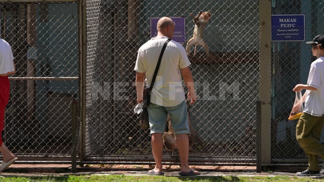 Сухумский обезьяний питомник. Вольеры, обезьяны, посетители
