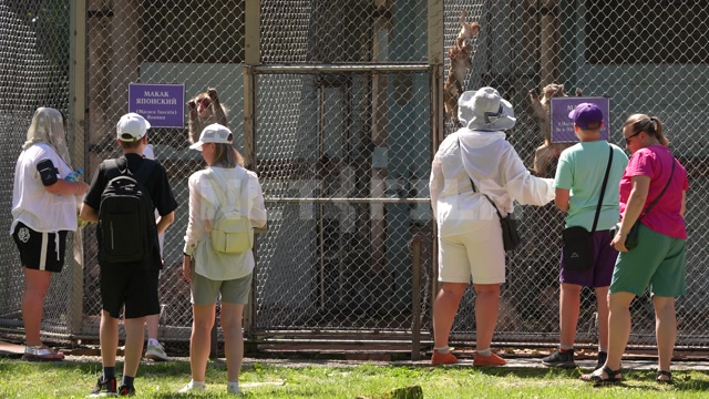 Сухумский обезьяний питомник. Вольеры, обезьяны, посетители
