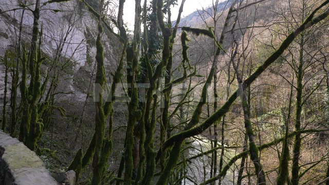 Абхазия, осень, день. Панорама на горы