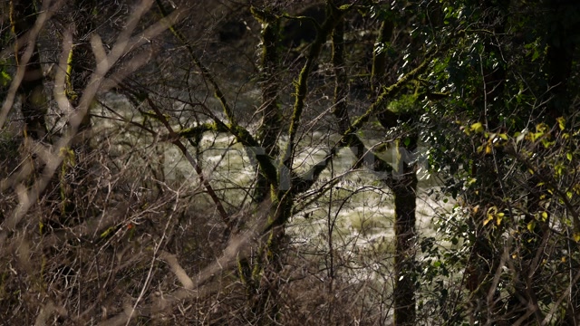 Абхазия, горы, осень, день. В кадре горная река