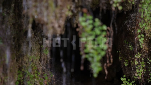 Абхазия, горы, скала, водопад