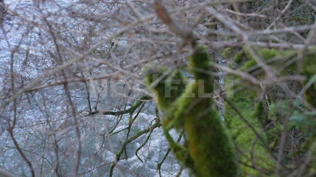 Абхазия, осень, день. Горная река