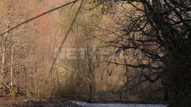 Абхазия, осень, день. Горы. Панорама на горную реку