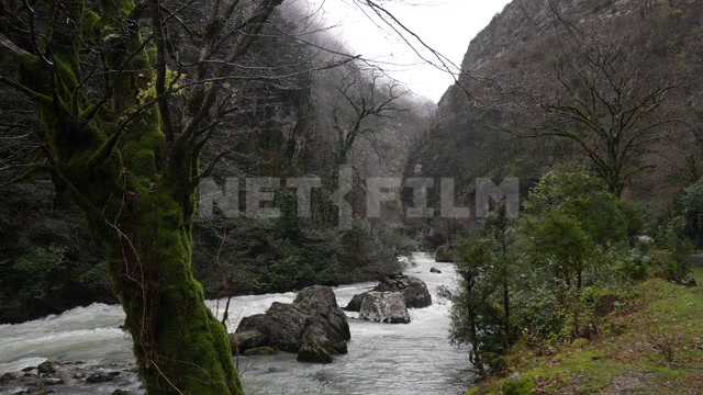 Абхазия, осень день. Горы, ущелье. Горная река, течение
