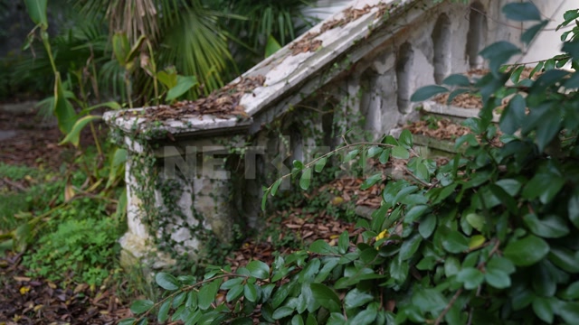 Абхазия, осень, день. Заброшенное здание, каменная лестница