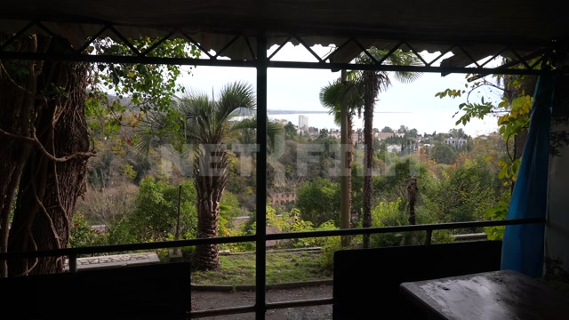 Абхазия, осень, день. Вид из заброшенного здания. Пальмы, Черное море