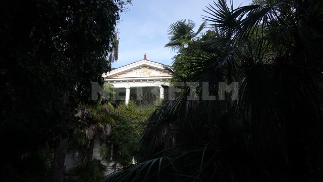 Абхазия, осень, день. Сквозь пальмы виднеется белое здание с колоннами