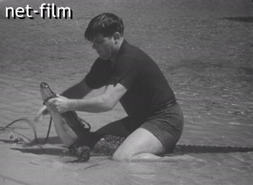 Кинохроника Зарубежная кинохроника. (1930-е)