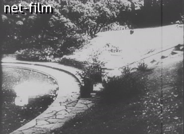 Кинохроника Анна Павлова. (1924-1925)