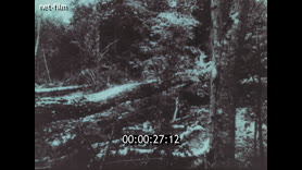 Footage frame