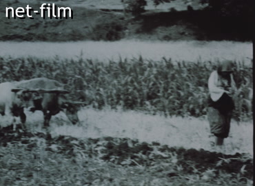 Footage (1945-1947)