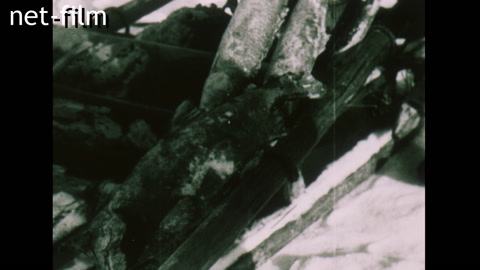 Кинохроника Народы Крайнего Севера. (1930-1935)