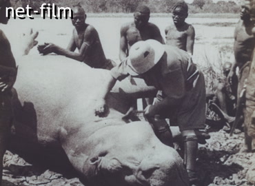 Кинохроника Охота в Африке. (1910-1920)