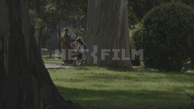 Abkhazia, summer, day, park, group of girls