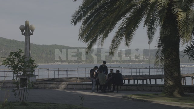 Abkhazia, Sukhumi, summer, day. Embankment, promenade. A group of young people on a bench
