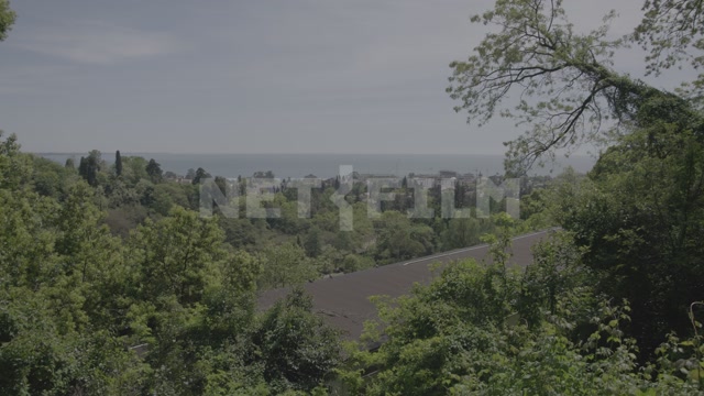 Абхазия, вид сверху, в кадре деревья, вдали виднеется море