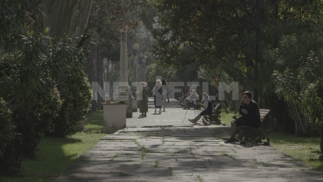Abkhazia, Sukhum, nature, summer, day. Park, alley, people walking