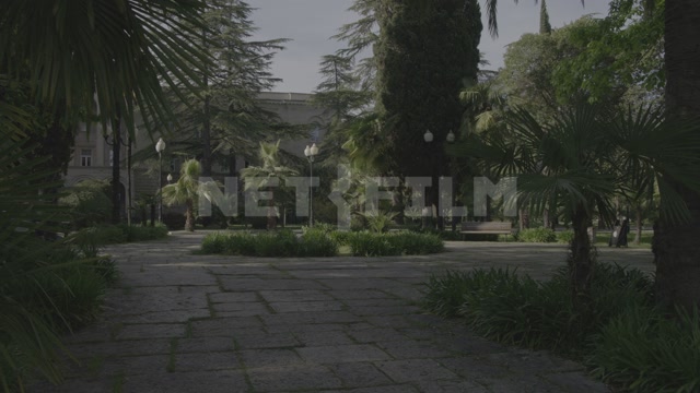 Abkhazia, Sukhum, nature, park, square, palm trees