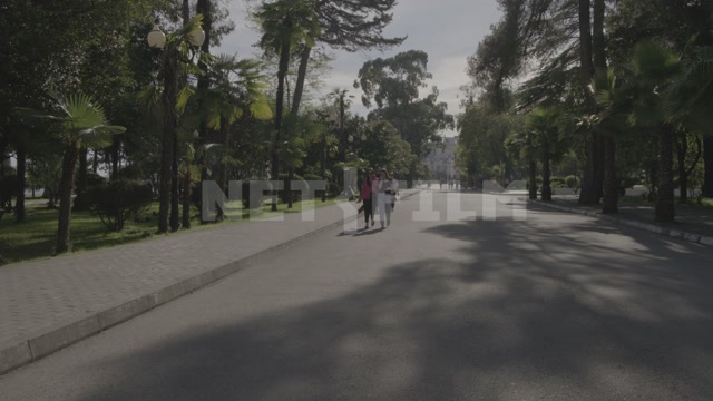 Abkhazia, Sukhumi, summer, day. Nature, park, alley, promenade, people strolling
